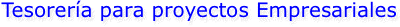 Tesorería para proyectos Empresariales